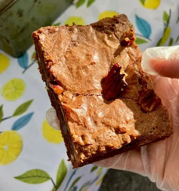 Brownie — photo 3 sur 3