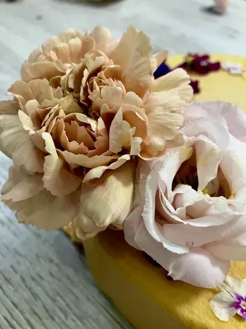 Entremets — photo 7 sur 21